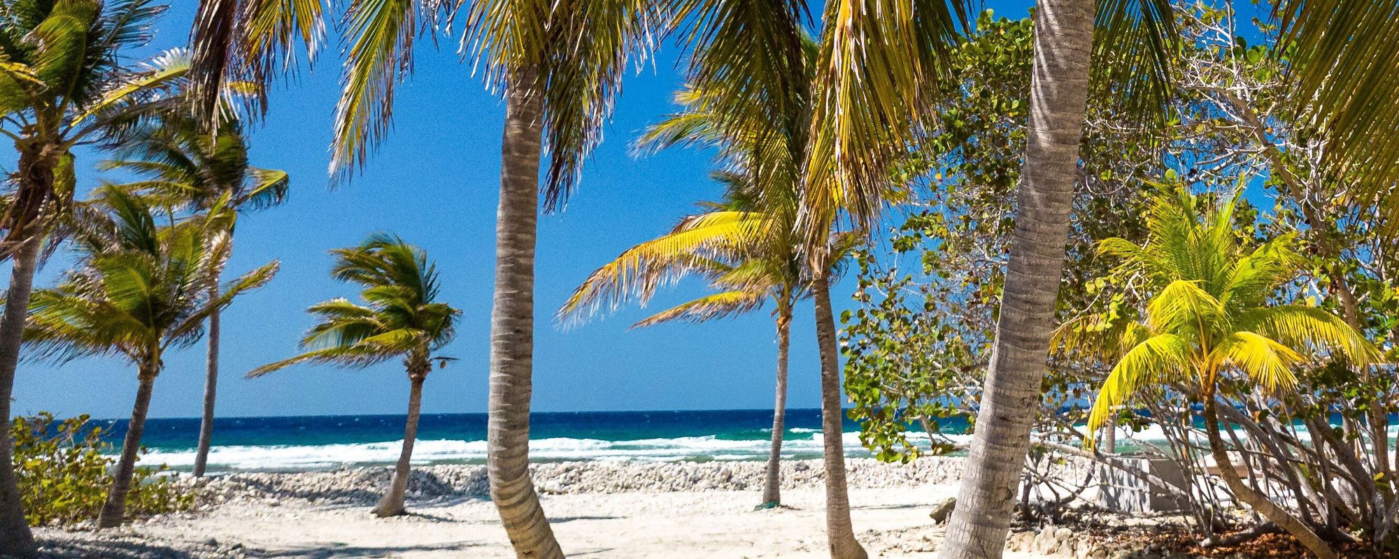 Rental Yield Trends by Neighborhood in Grand Cayman (2025 Edition)